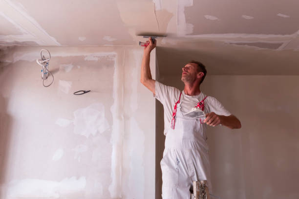 Best Residential Drywall Installation  in Waikapu, HI